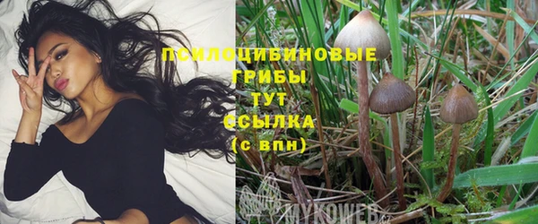 кокаин премиум Алексин